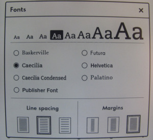 Screenshot lettertype en grootte aanpassing